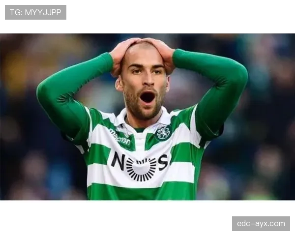 海伦芬战术解析