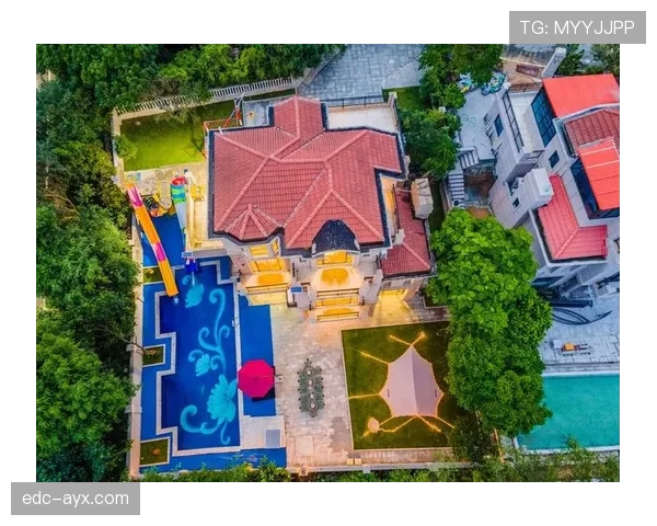 王燊超别墅里开派对，邻居都想知道他到底怎么玩的！